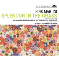 Pink Martini Splendor In The Grass Ǻ ٹ 
