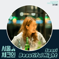 Seori Beautiful Night Ǻ ٹ 