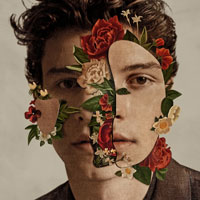 Shawn Mendes Perfectly Wrong Ǻ ٹ 