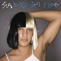 Sia Bird Set Free ǾƳ Ǻ ٹ 