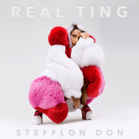 Stefflon Don 16 Shots Ǻ ٹ 