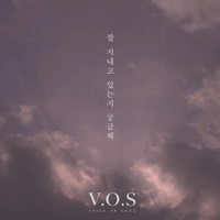 V.O.S   ִ ñ Ǻ ٹ 