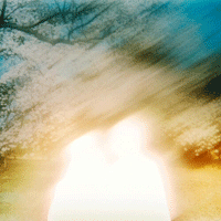 Yonezu Kenshi 1991 Ǻ ٹ 