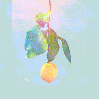 Lemon  Ǻ