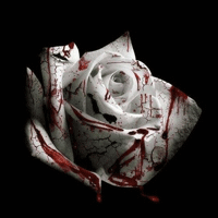 d4vd Romantic Homicide Ǻ ٹ 