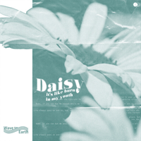 daisy.  Ǻ