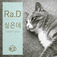 라디 싶은데 악보 앨범 자켓