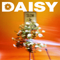 Daisy  악보