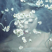 LikeAFlower  악보